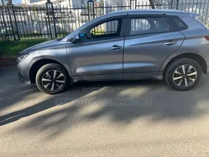 BYD E2 43 kWh 94 hp FWD 2025 Gray