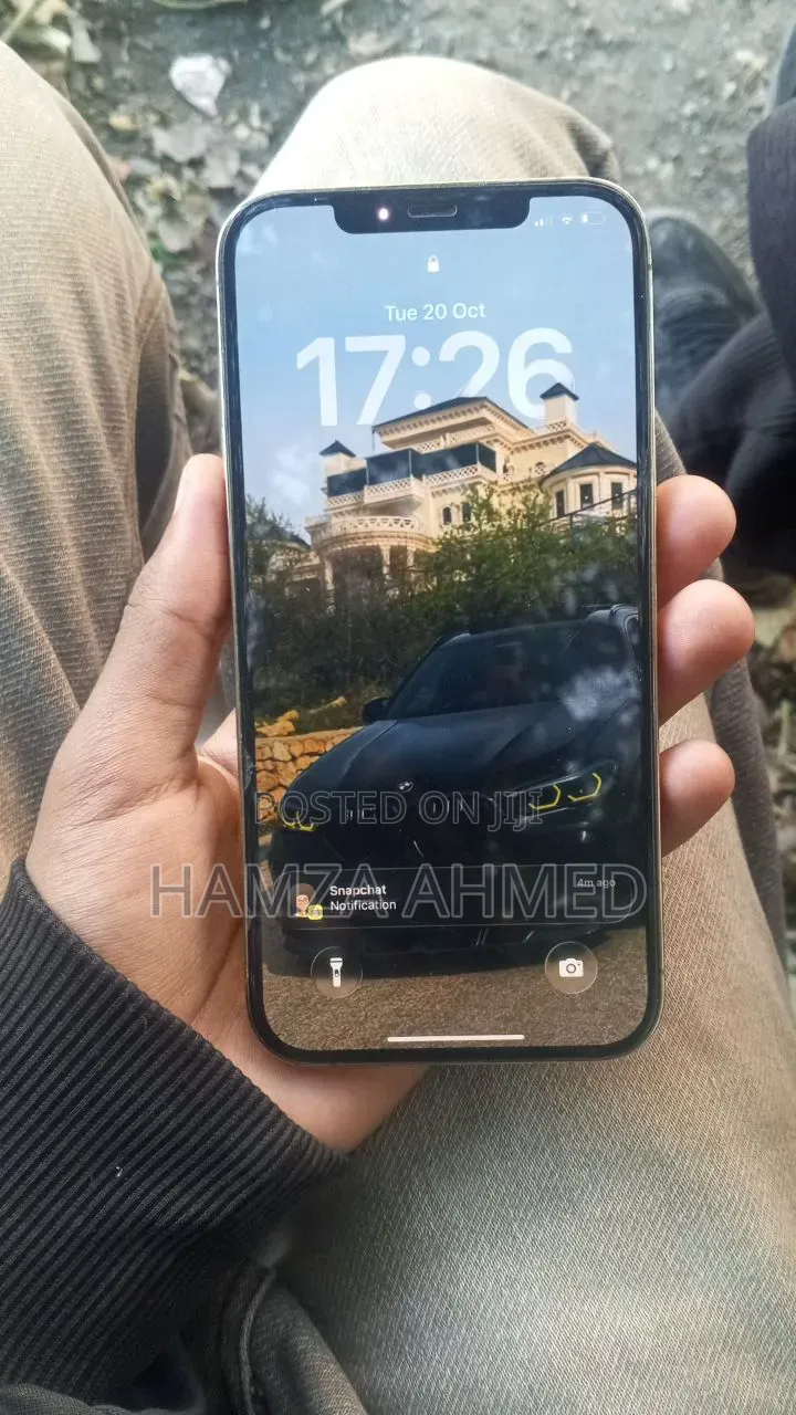 Apple iPhone 12 Pro Max 256 GB Gold