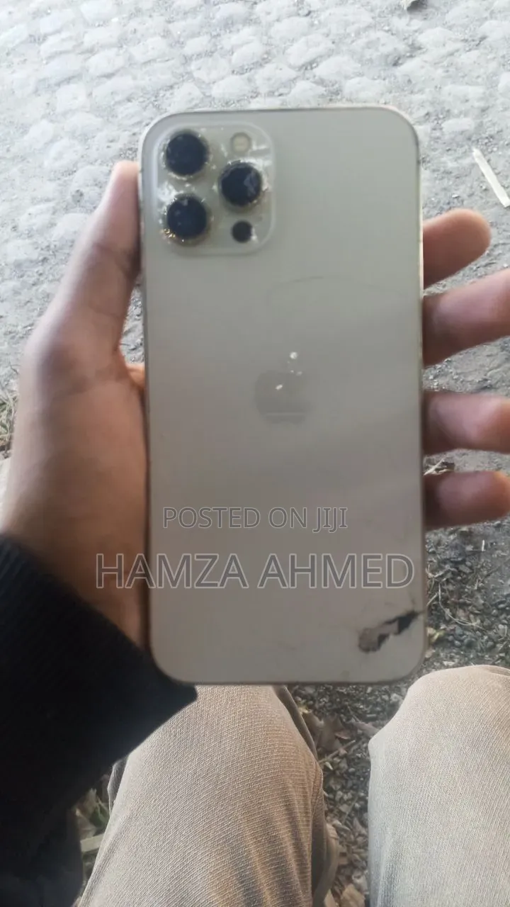 Apple iPhone 12 Pro Max 256 GB Gold