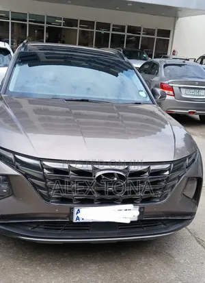 Hyundai Tucson Hybrid 2022 Gray
