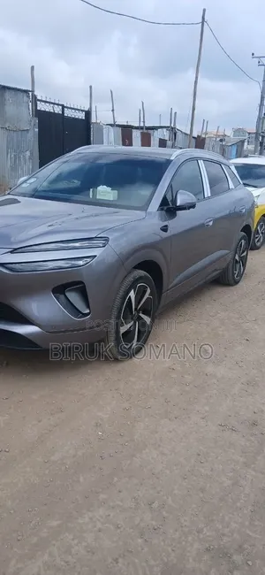 BYD Sealion 06 EV 2025 Gray