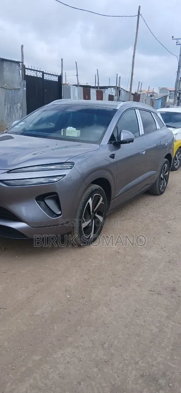 BYD Sealion 06 EV 2025 Gray