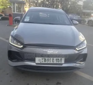 BYD E2 43 kWh 94 hp FWD 2024 Silver