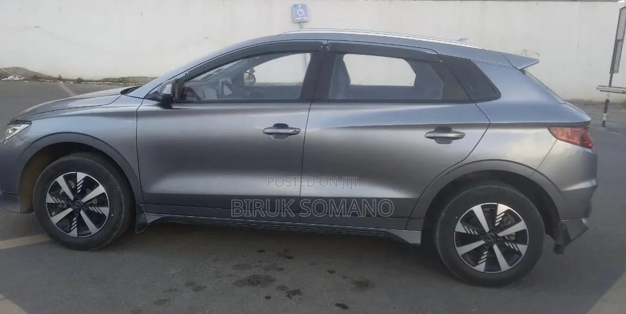 BYD E2 43 kWh 94 hp FWD 2024 Silver