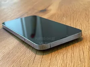 Apple iPhone 13 Pro Max 256 GB Gray