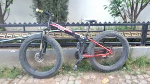 Folding Fat-Tire Mountain Bike