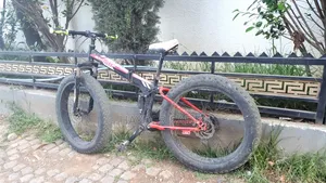 Folding Fat-Tire Mountain Bike