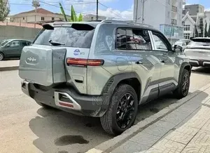 New BYD Leopard 3 2025 Gray