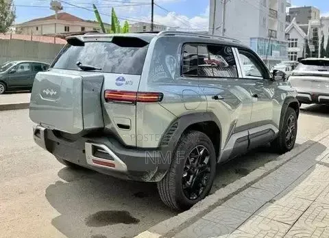 New BYD Leopard 3 2025 Gray