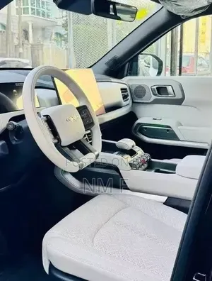 New BYD Leopard 3 2025 Gray
