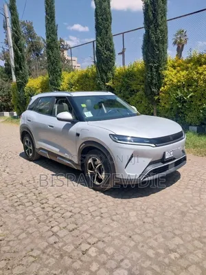 BYD Yuan Up 2025