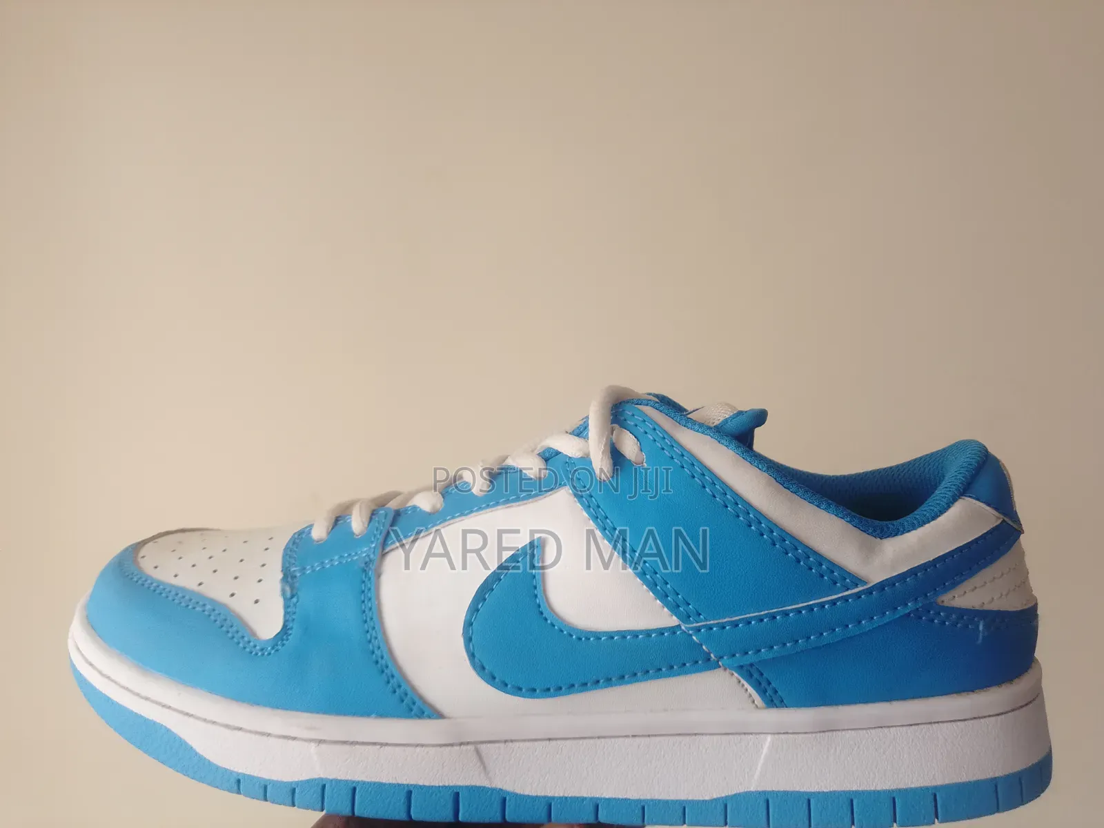 Low Dunk Pro