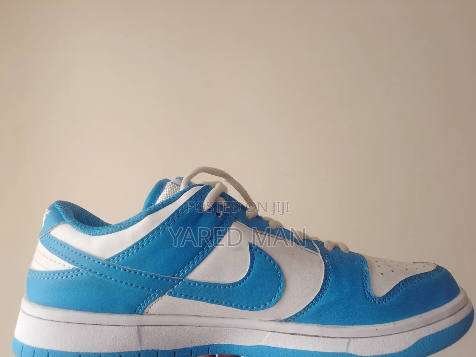 Low Dunk Pro