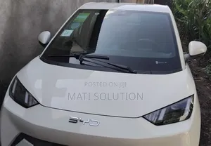 New BYD Seagull 2025 White