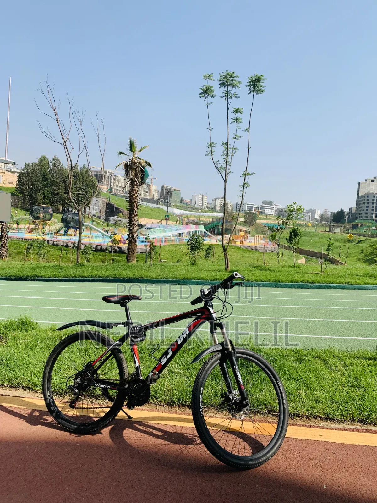 Mountain Bike