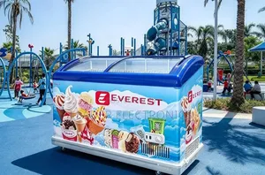 Everest Desplay Deep Freezer 500