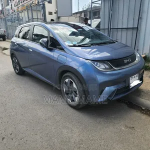 New BYD Seagull 2025 Gray