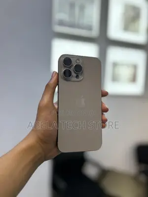 Apple iPhone 15 Pro Max 256 GB Silver