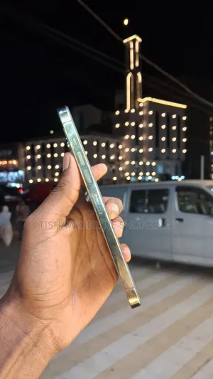 New Apple iPhone 13 Pro Max 256 GB