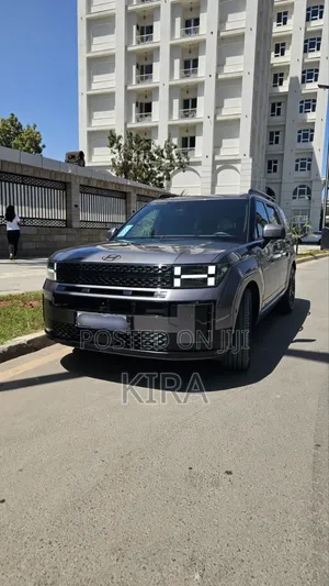 Hyundai Santa Fe 2024 Silver