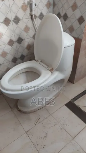 Toilet Seat Neat Condition