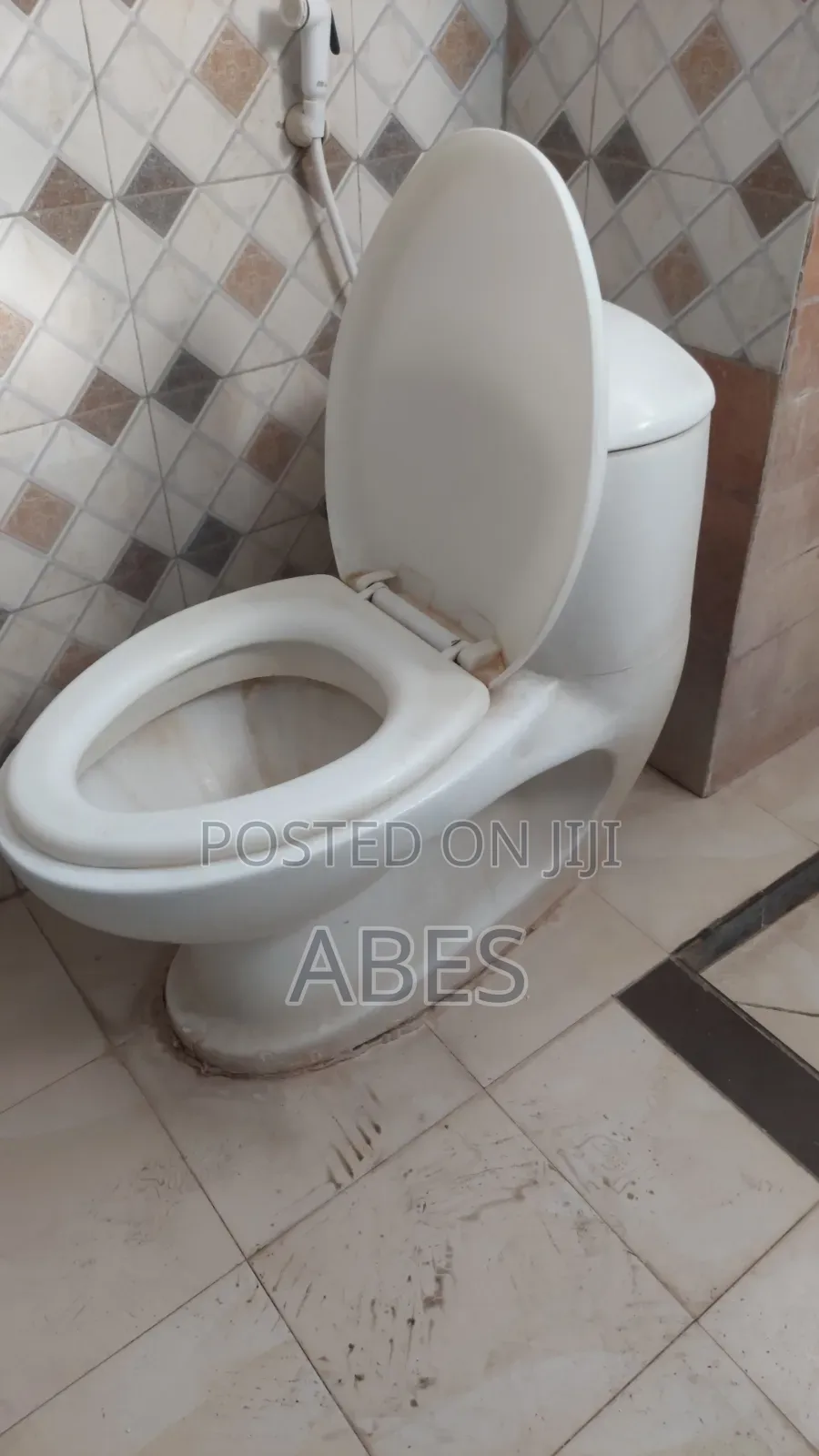 Toilet Seat Neat Condition
