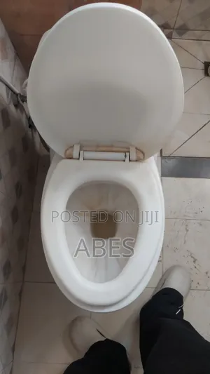 Toilet Seat Neat Condition