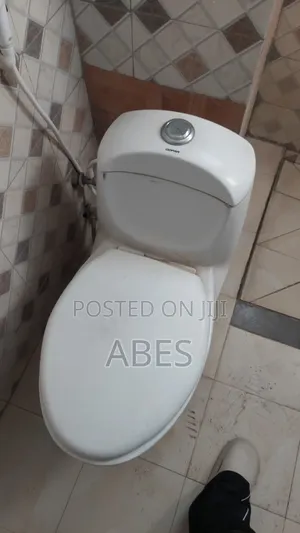 Toilet Seat Neat Condition