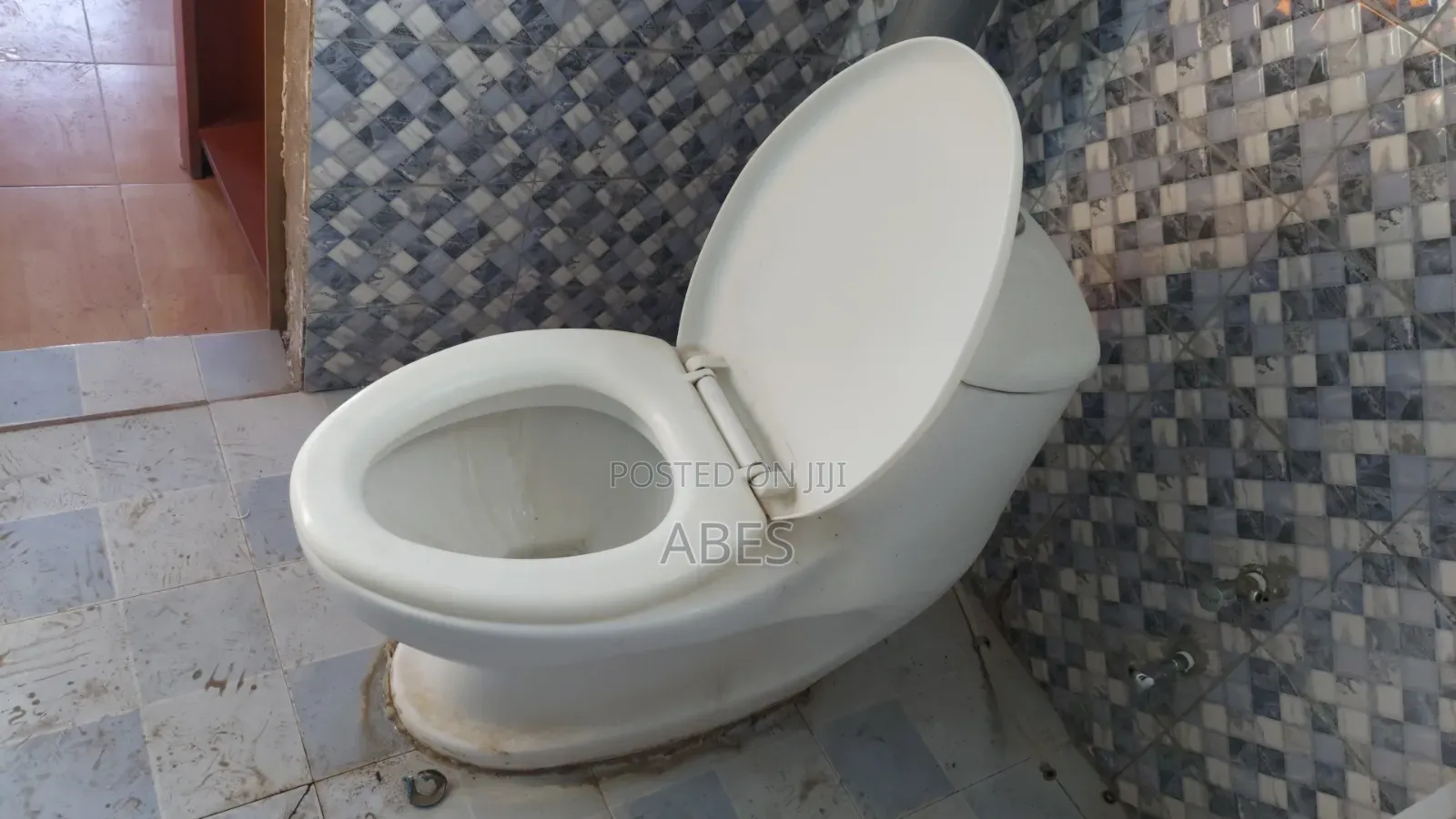 Toilet Seat Neat Condition