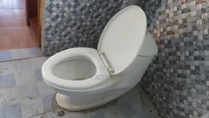 Toilet Seat Neat Condition