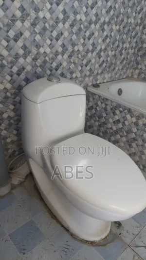 Toilet Seat Neat Condition