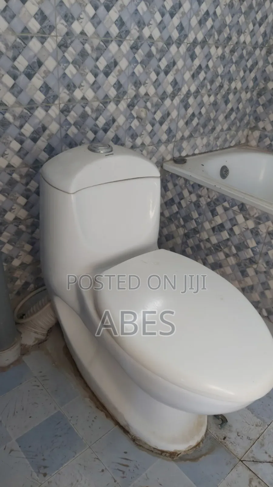Toilet Seat Neat Condition