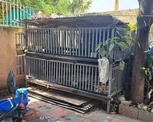 የዶሮ ቤት፥ 80 ዶሮወችን መያዝ የሚችል