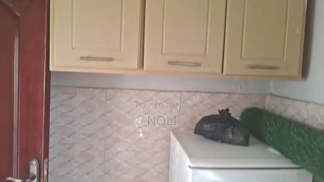Furnished 2bdrm House in Bole for rent