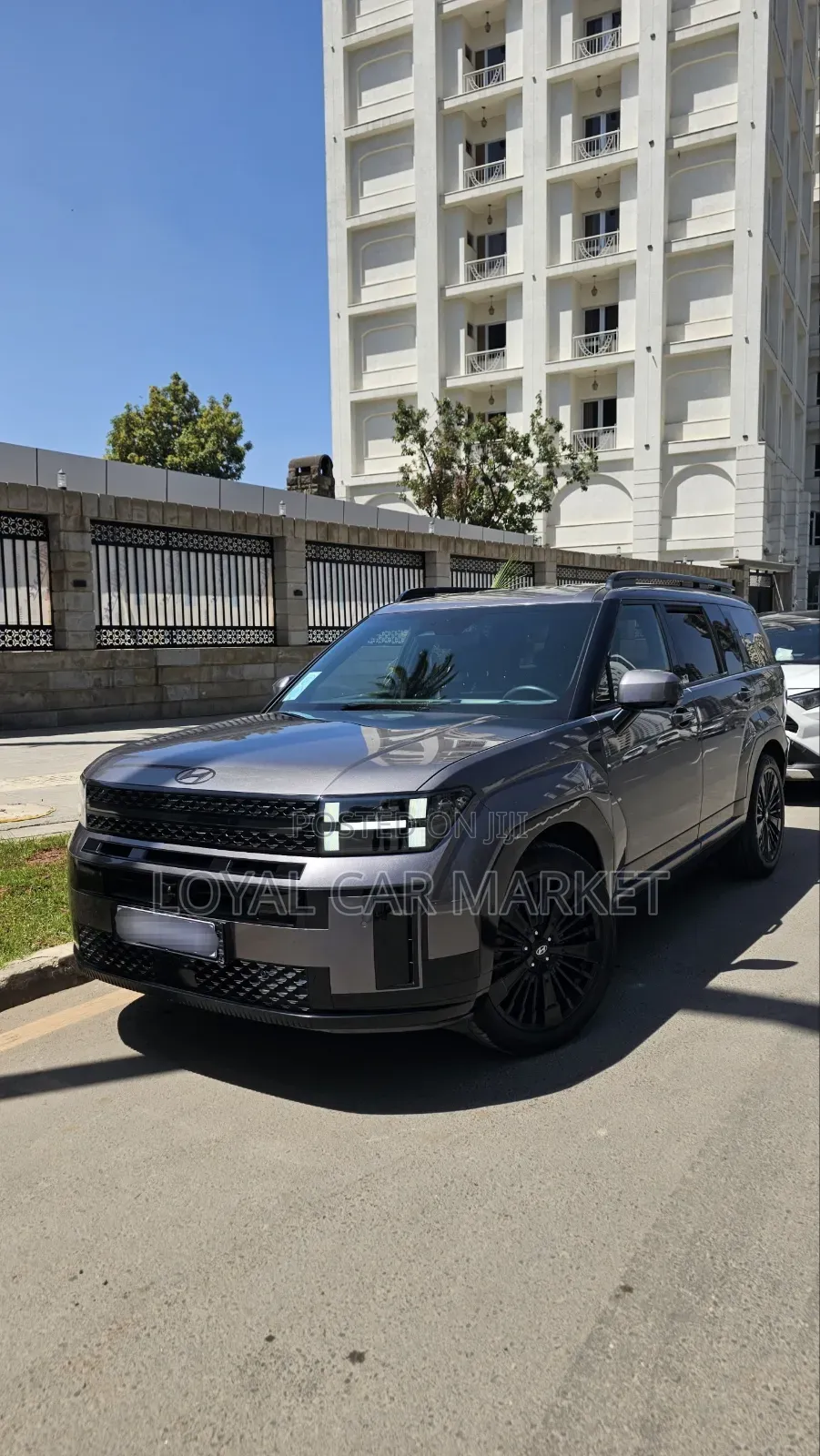 Hyundai Santa Fe 2024 Gray