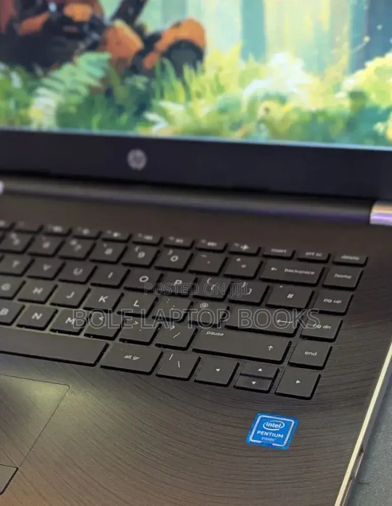 Laptop Origin PC 4GB Intel Celeron SSD 500GB