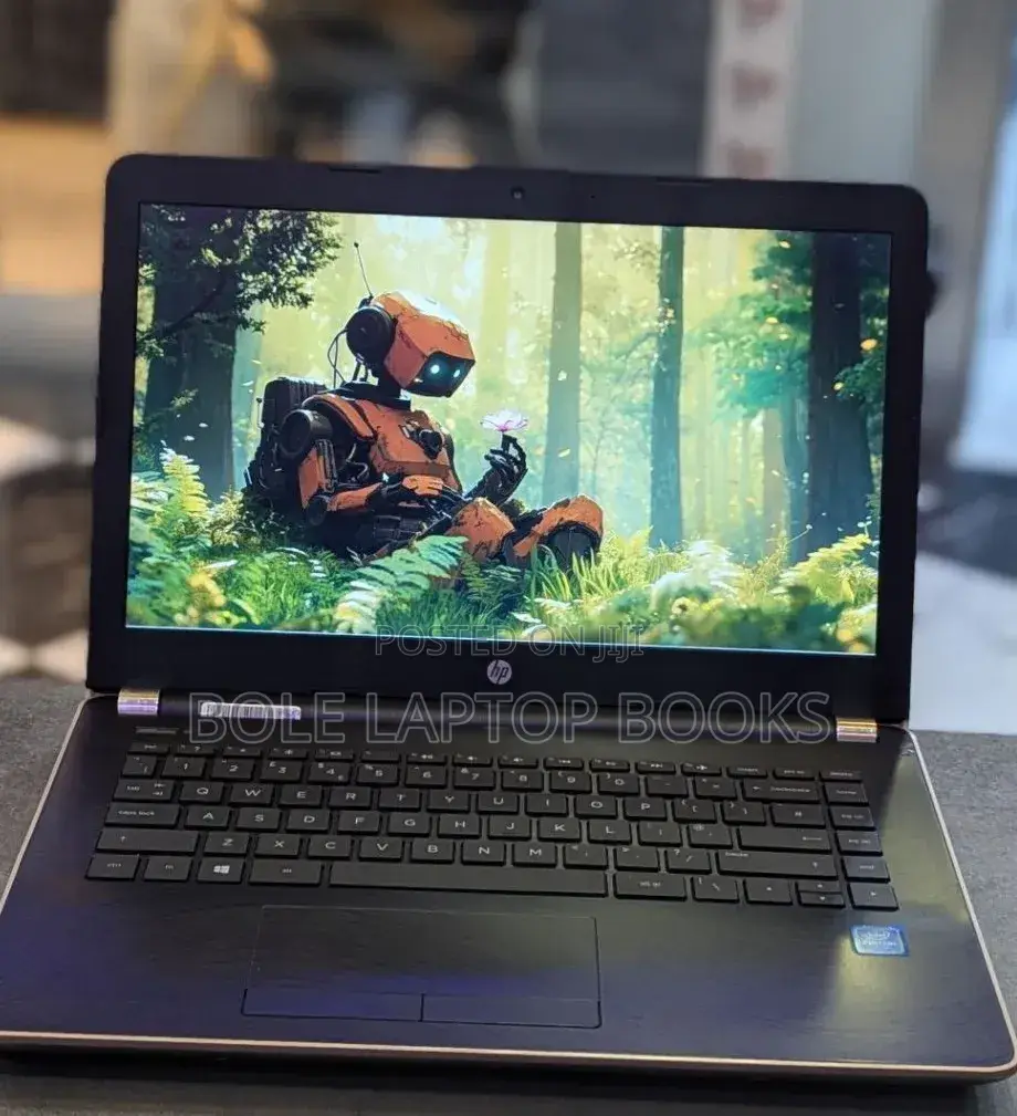 Laptop Origin PC 4GB Intel Celeron SSD 500GB