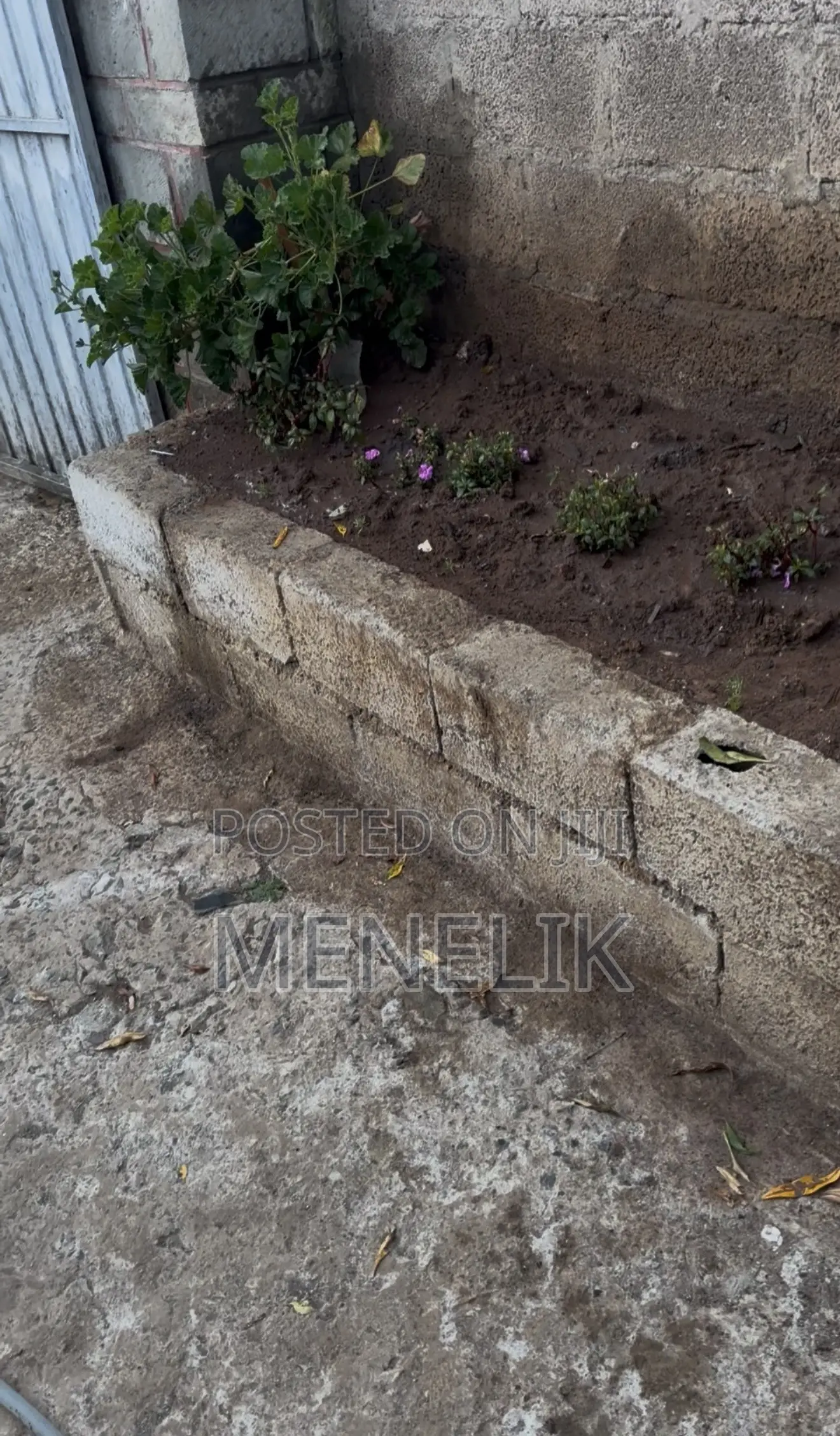 Mini Flat in Gullele for rent