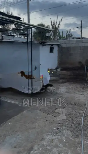 Mini Flat in Gullele for rent
