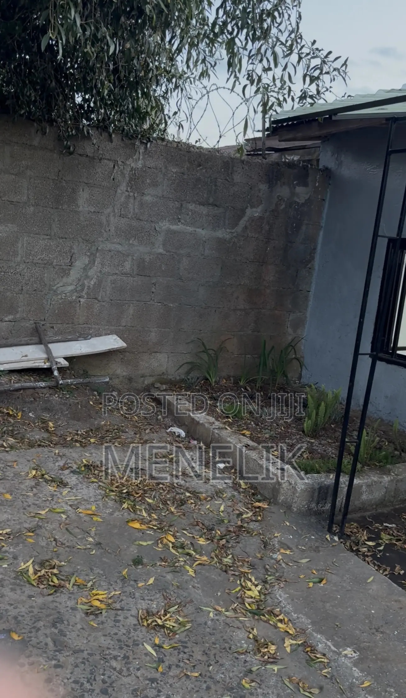 Mini Flat in Gullele for rent