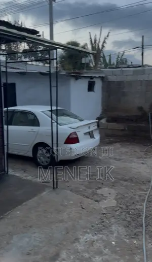 Mini Flat in Gullele for rent
