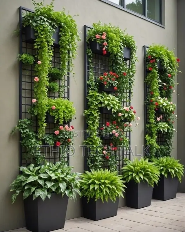 Garden Design, Supply, Test and Commission