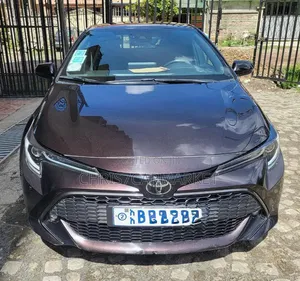 Toyota Corolla 2021 Brown