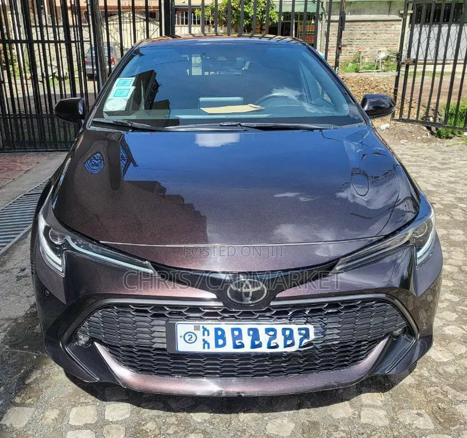 Toyota Corolla 2021 Brown