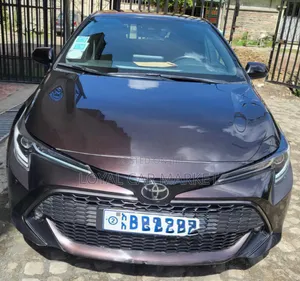 Toyota Corolla L 2021 Gray