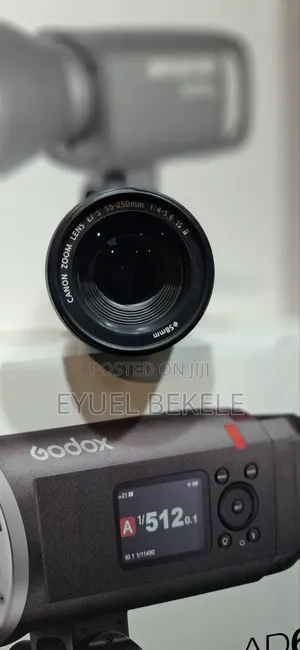 Canon 55-250mm Lens
