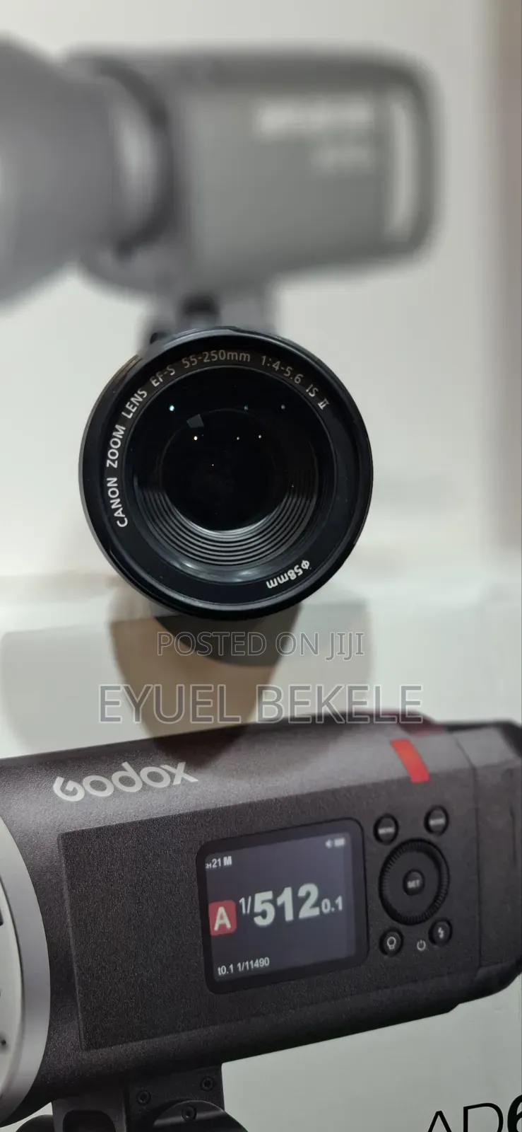 Canon 55-250mm Lens