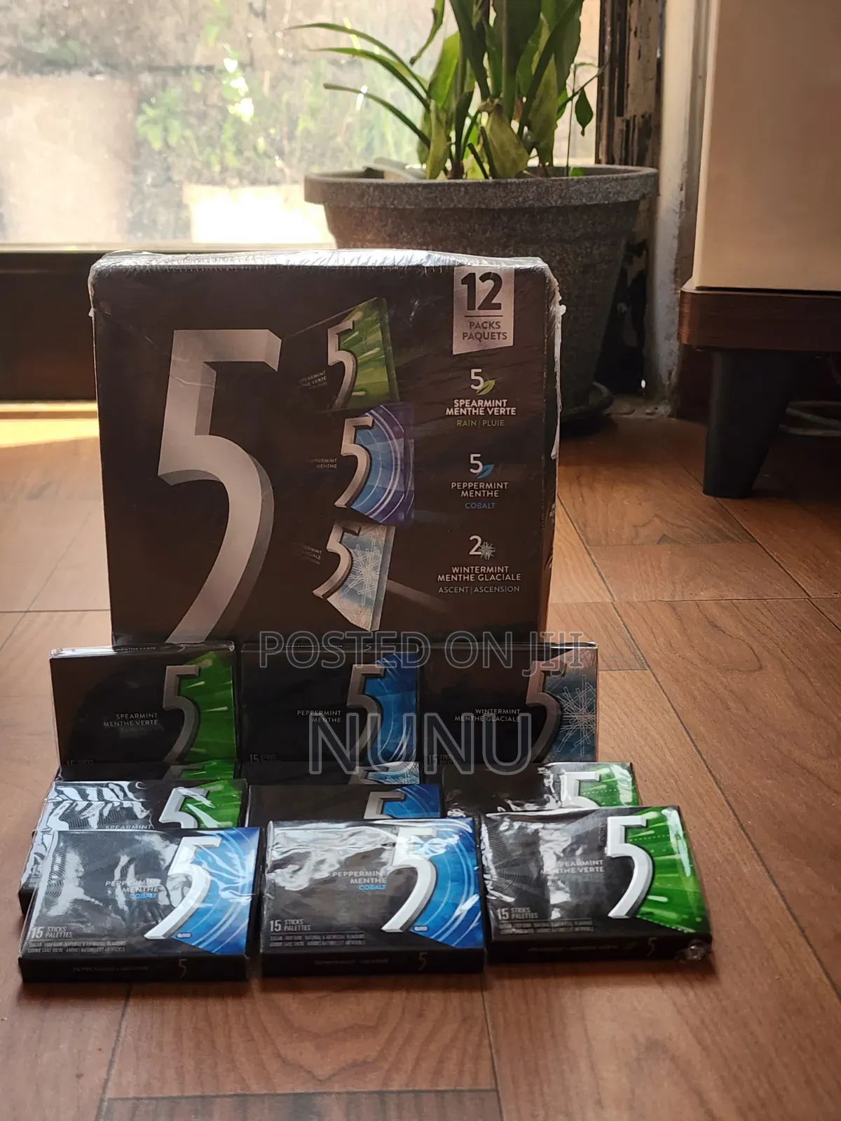 5 Gum (Spearmint,peppermint ,Wintermin)t