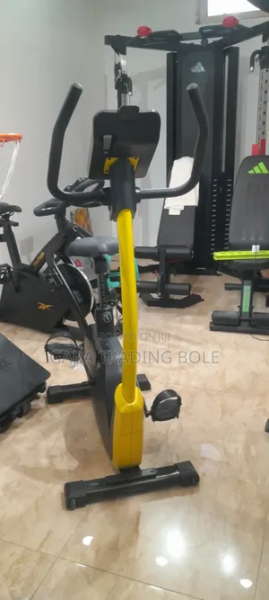  Reebok FR30 Exercise Bike – 32 Resistance Levels!