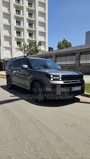 Hyundai Santa Fe 2024 Brown